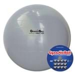 Ficha técnica e caractérísticas do produto Bola Pilates Gynastic Ball Carci 65cm