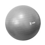 Ficha técnica e caractérísticas do produto Bola Pilates Suiça Yoga Abdominal Gym Ball 65cm com Bomba