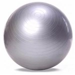 Ficha técnica e caractérísticas do produto Bola Pilates Yoga Abdominal Ginastica Fitness 65 Cm C/ Bomba Cor: Prata