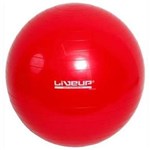 Ficha técnica e caractérísticas do produto Bola Pilates Yoga Fitball Liveup - 45 Cm