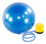 Ficha técnica e caractérísticas do produto Bola Suiça 65 Cm Gym Ball com Bomba Yoga Pilates Fitness