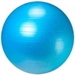 Ficha técnica e caractérísticas do produto Bola Suiça - Fit Ball Premium
