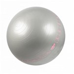 Ficha técnica e caractérísticas do produto Bola Suica para Pilates 65cm Cinza com Ilustracao - Liveup