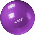 Ficha técnica e caractérísticas do produto Bola Suíça para Pilates LIVEUP LS3222 55 PR Antiestouro 55 Cm Premium