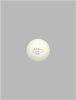 Ficha técnica e caractérísticas do produto Bola Tenis de Mesa Donic - R1