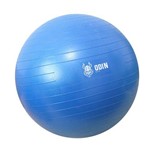 Ficha técnica e caractérísticas do produto Bola Yoga Suiça Pilates Abdominal Gym Ball 55cm com Bomba