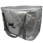 Ficha técnica e caractérísticas do produto Bolsa Semi Térmica 20 Litros Bag Freezer 1021758
