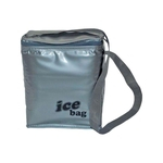 Ficha técnica e caractérísticas do produto Bolsa semi térmica bag freezer 5 litros