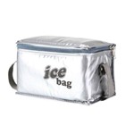 Ficha técnica e caractérísticas do produto Bolsa Semi Térmica 3 Litros Bag Freezer