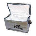 Ficha técnica e caractérísticas do produto Bolsa Térmica Bag Freezer 3 Litros