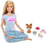 Ficha técnica e caractérísticas do produto Boneca Barbie Fashionistas Medita Comigo Loira - Mattel