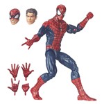 Ficha técnica e caractérísticas do produto Boneco Legends Séries 30 Cm Hasbro - Spider-Man