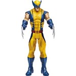 Ficha técnica e caractérísticas do produto Boneco Wolverine Titan Hero 30 Cm Hasbro