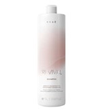 Ficha técnica e caractérísticas do produto Braé Revival Shampoo 1000ml
