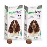 Ficha técnica e caractérísticas do produto Bravecto Antipulgas E Carrapatos Para Cães De 10 A 20kg