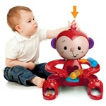 Ficha técnica e caractérísticas do produto Brinquedo para Bebe Zuquinha Unidade - Elka