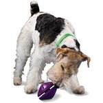 Ficha técnica e caractérísticas do produto Brinquedo para Cães Twist'n Treat M - Premier