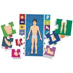 Ficha técnica e caractérísticas do produto Brinquedo Pedagogico de Madeira Conheça o Corpo Humano