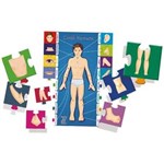 Ficha técnica e caractérísticas do produto Brinquedo Pedagogico Madeira Conheca o Corpo Humano