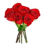 Ficha técnica e caractérísticas do produto Buque 6 Rosas Vermelhas
