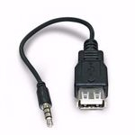 Ficha técnica e caractérísticas do produto Cabo De Audio P2 X Usb Femea Para Pendrive Em Auto-radio Cdplayer Mp3 Ipod