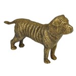 Ficha técnica e caractérísticas do produto Cachorro Decorativo BTC de Resina 11x8 Cm - Bronze
