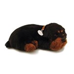 Ficha técnica e caractérísticas do produto Cachorro Pelúcia Perfect Petzzz Rotweiler - Imex