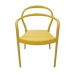 Ficha técnica e caractérísticas do produto Cadeira com Bracos Sissi Am - 92045000 - Tramontina Delta