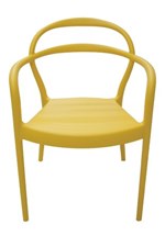 Ficha técnica e caractérísticas do produto Cadeira com Bracos Sissi Am 92045000