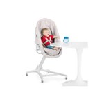 Ficha técnica e caractérísticas do produto Cadeira de Descanso 4 em 1 Baby Hug Glacial Chicco Branco