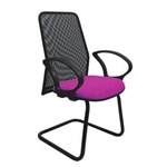 Ficha técnica e caractérísticas do produto Cadeira Diretor Tela Fixa Roxa - Cinza