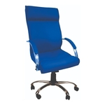 Ficha técnica e caractérísticas do produto Cadeira Escritório Presidente Havana CompreAlegre - Azul
