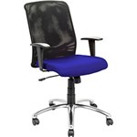 Ficha técnica e caractérísticas do produto Cadeira Executiva Simple Polipropileno Azul/Preta - Ergoseating