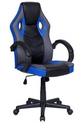 Ficha técnica e caractérísticas do produto Cadeira Gamer em Couro PU Pelegrin PEL-3016 Preta e Azul