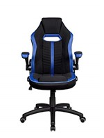Ficha técnica e caractérísticas do produto Cadeira Gamer Pelegrin Pel-3011 Couro Pu Preta e Azul