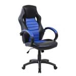 Ficha técnica e caractérísticas do produto Cadeira Gamer Profissional 9066H
