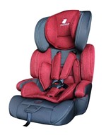 Ficha técnica e caractérísticas do produto Cadeira para Auto Allegra 9 Á 36kg Vermelha - Mastela