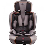 Ficha técnica e caractérísticas do produto Cadeira para Auto - de 09 a 36 Kg - Astor LX - Cinza - Galzerano