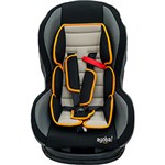 Ficha técnica e caractérísticas do produto Cadeira para Auto Happy Baby Chumbo - 0 a 18kg - Ayoba
