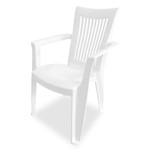 Ficha técnica e caractérísticas do produto Cadeira Plástica Grande Royal Branca Dolfin
