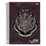 Ficha técnica e caractérísticas do produto Caderno Harry Potter - Roxo - 10 Matérias - Jandaia