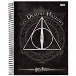 Ficha técnica e caractérísticas do produto Caderno Universitário Harry Potter 10 Matérias Jandaia 1025851