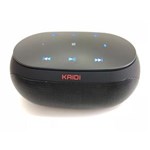 Ficha técnica e caractérísticas do produto Caixa de Som KAIDI KD813 Wireless