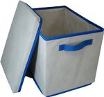 Ficha técnica e caractérísticas do produto Caixa Organizadora Bege/Azul C/ Alça E Tampa De 28x31x38