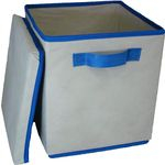 Ficha técnica e caractérísticas do produto Caixa Organizadora Bege/azul C/ Alça E Tampa De 28x31x28