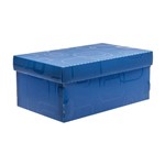 Ficha técnica e caractérísticas do produto Caixa Organizadora Dello Mini/sapato Azul 2169-c