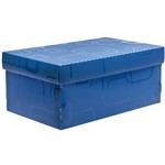 Ficha técnica e caractérísticas do produto Caixa Organizadora Dellosmile Mini Azul