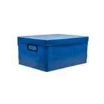 Ficha técnica e caractérísticas do produto Caixa Organizadora Grande Dello Azul