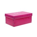 Ficha técnica e caractérísticas do produto Caixa Organizadora Mini Dello Rosa