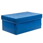 Ficha técnica e caractérísticas do produto Caixa Organizadora Mini Sapato DELLO Azul 2169